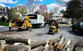 Reliable Washington, MO Tree Care Solutions
